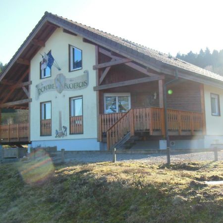 Chalet Du Bucheron Gérardmer Exterior photo